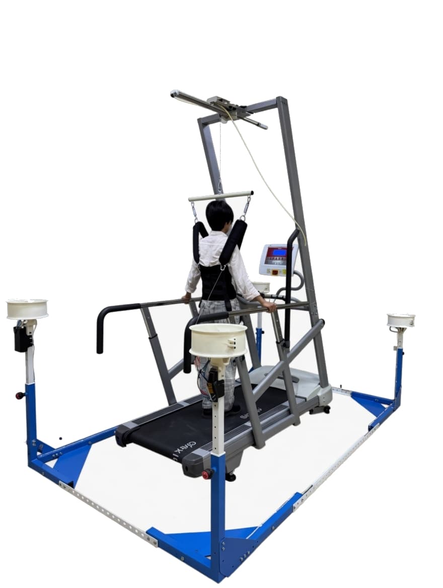 Balance perturbation system